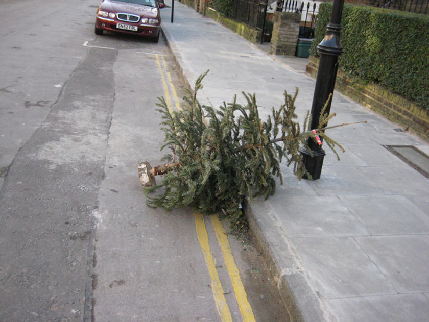 Christmas Tree